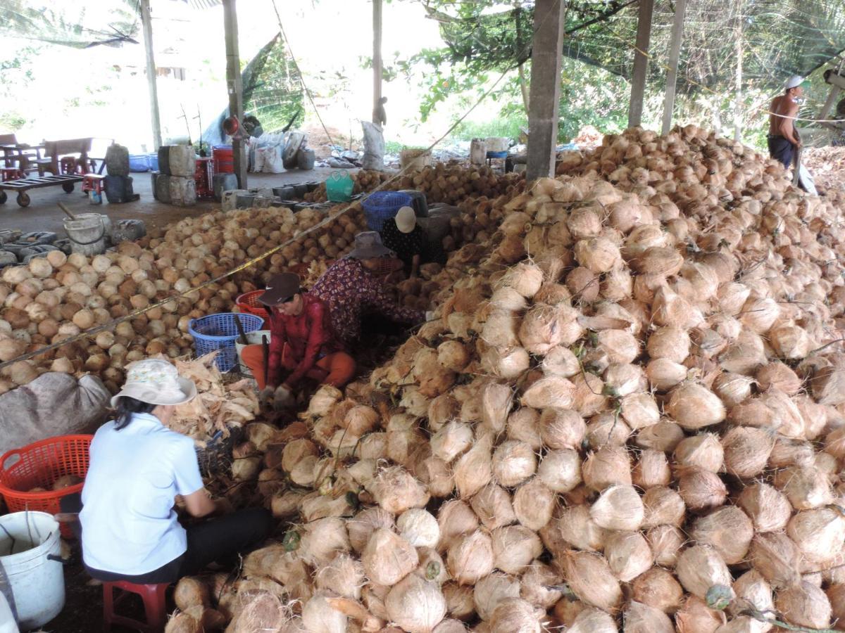 Ben Tre Farm Stay المظهر الخارجي الصورة