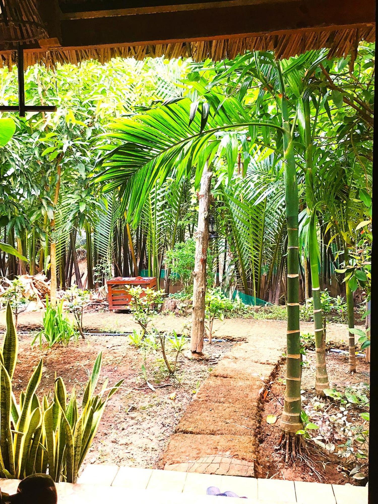 Ben Tre Farm Stay المظهر الخارجي الصورة