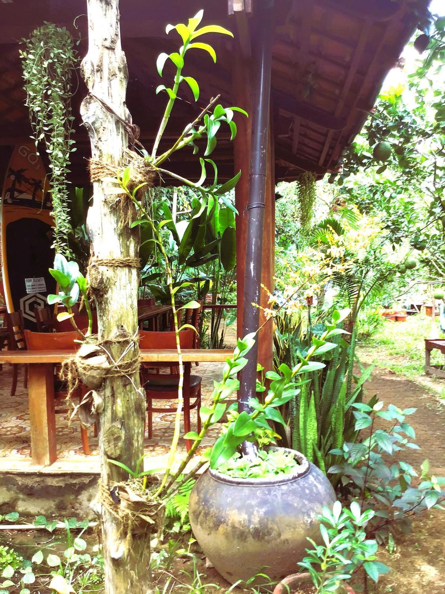 Ben Tre Farm Stay المظهر الخارجي الصورة