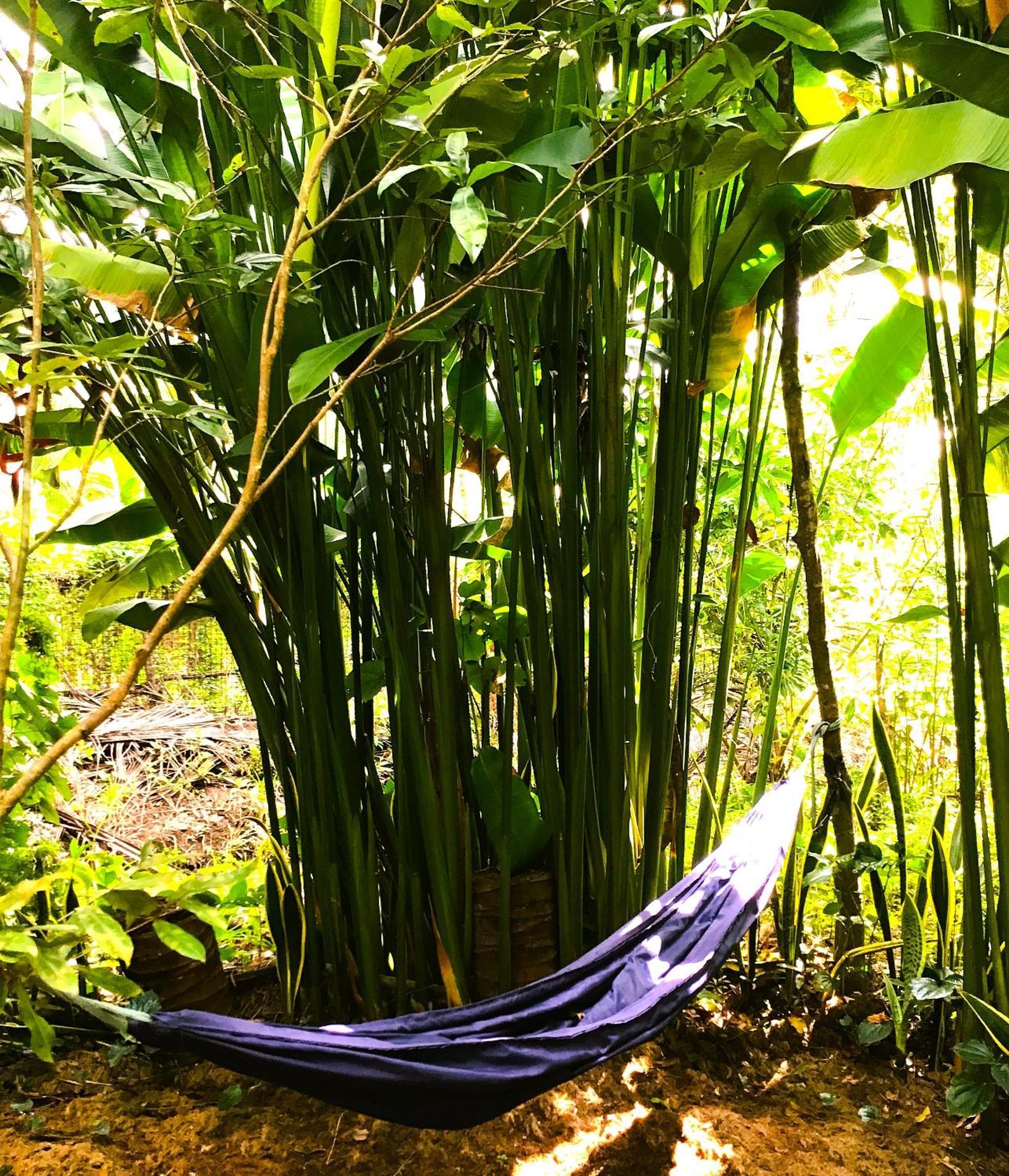Ben Tre Farm Stay المظهر الخارجي الصورة