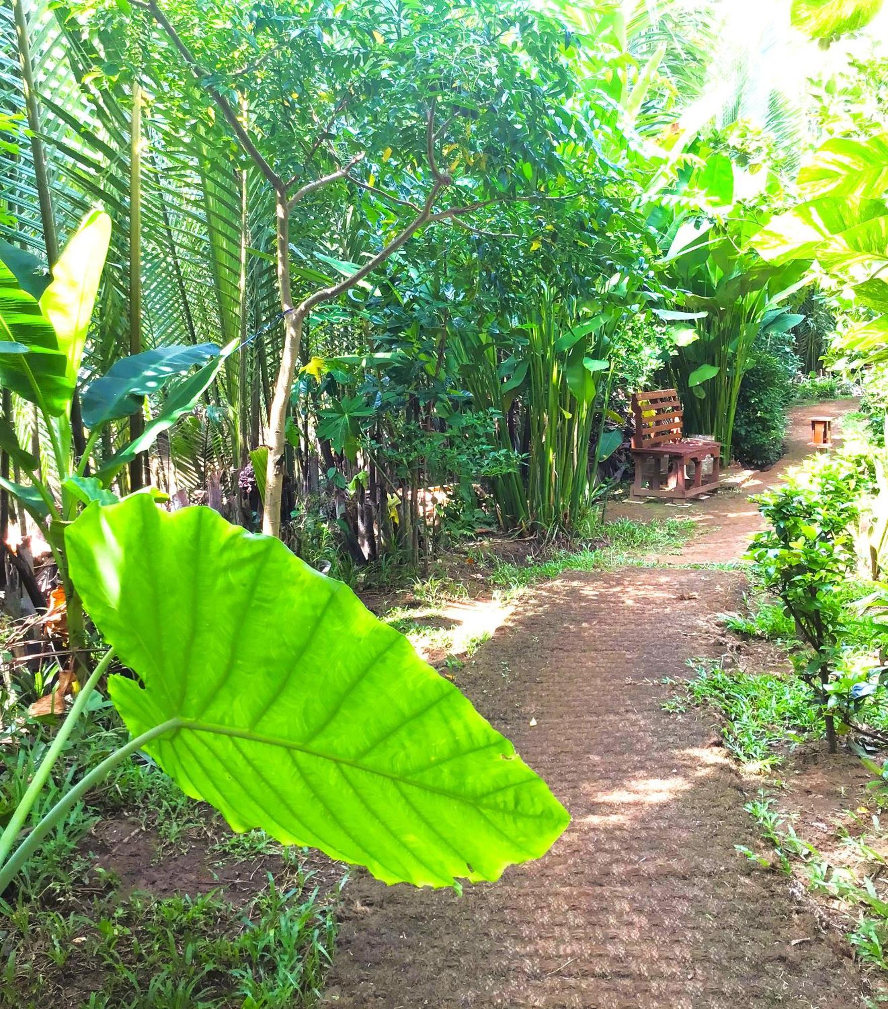 Ben Tre Farm Stay المظهر الخارجي الصورة