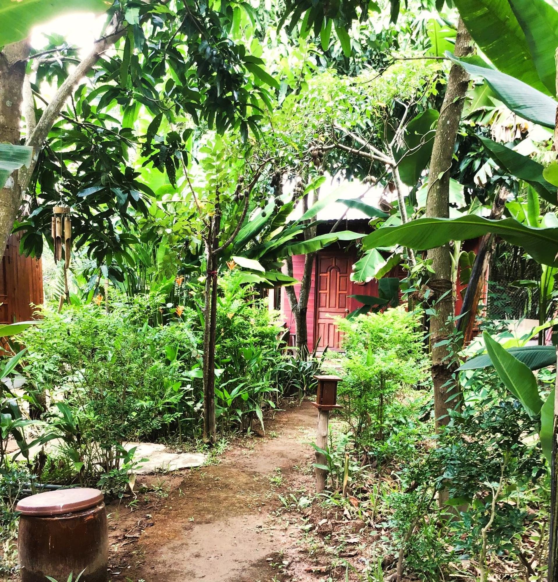 Ben Tre Farm Stay المظهر الخارجي الصورة