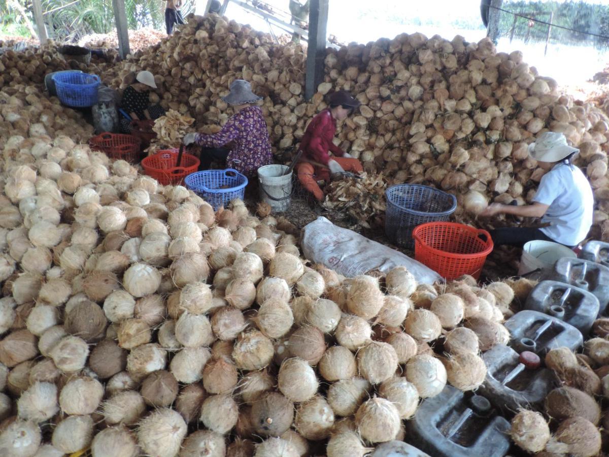 Ben Tre Farm Stay المظهر الخارجي الصورة